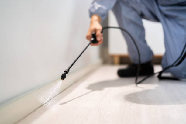 Licensed Rodent Control service in Brookfield, IL - Nex Pest Control