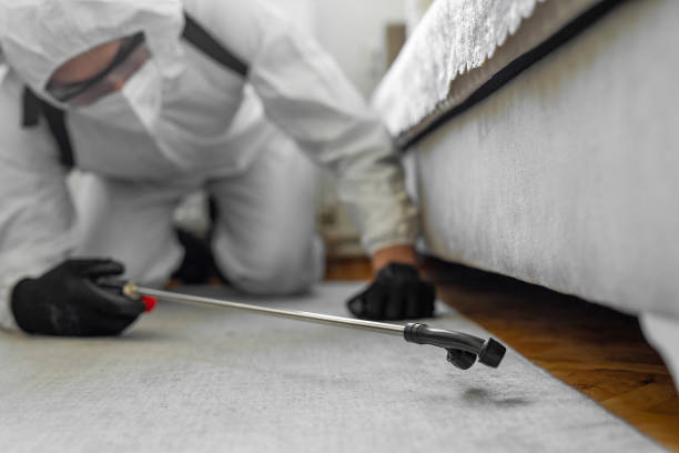 Professional Rodent Control technician working in Brookfield, IL